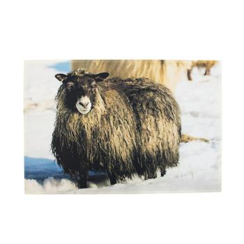 Rohožka ke dveřím Islandská ovce - 75*50*1cm RARMSNIJS