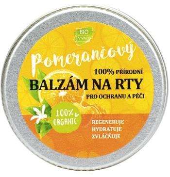 Vivaco 100% Přírodní balzám na rty s bio pomerančovým olejem 25 g