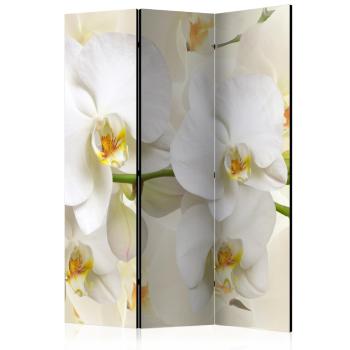 Paraván Orchid Branch Dekorhome 135x172 cm (3-dílný)