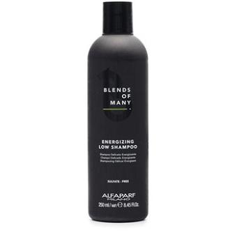 ALFAPARF MILANO Blends of Many Energizing Low Shampoo posilující šampon pro řídnoucí vlasy 250 ml (HALFABLOFMMXN116574)