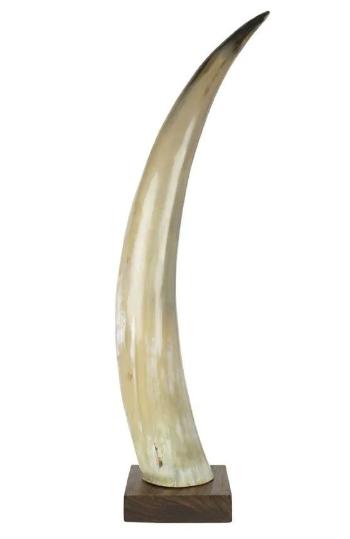 Dekorativní roh Bizon na dřevěném podstavci - 55cm HEHH55