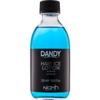 DANDY Hair Lotion vlasová kúra mentol 250 ml