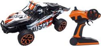 RC model auta Buggy Amewi Extreme D5 22220, 1:18