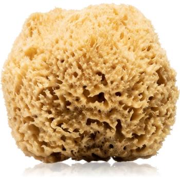 Huygens Natural Mediterranean Sea Sponge přírodní mořská mycí houba na tělo a obličej