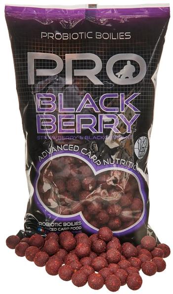 Starbaits Boilie Probiotic Pro Blackberry