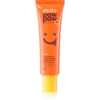 Pure Paw Paw Mango balzám na rty a suchá místa 15 g