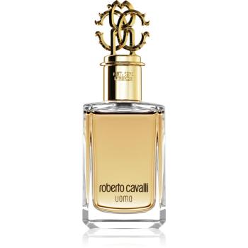 Roberto Cavalli Uomo toaletní voda new design pro muže 100 ml