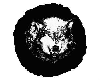Kulatý polštář Wolf