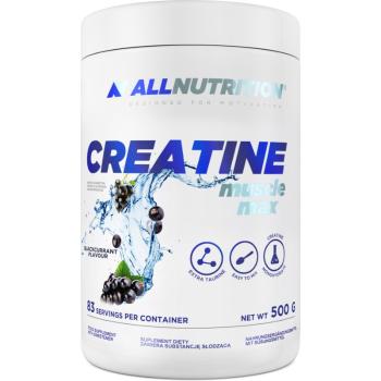 Allnutrition Creatine Muscle Max podpora sportovního výkonu příchuť Blackcurrant 500 g