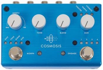 Pigtronix COSMOSIS