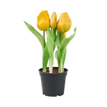 FLORISTA Tulipány "Real Touch" v květináči - žlutá