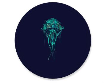Placka magnet medúza