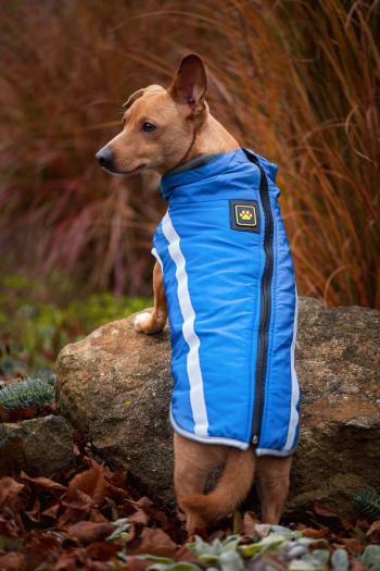 Vsepropejska Faraon bunda pro psa na ZIP Barva: Modrá, Délka zad (cm): 40, Obvod hrudníku: 50 - 54 cm