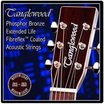 Tanglewood Acoustic Guitar Strings 12 Medium Light