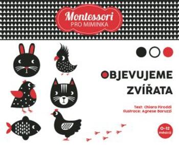 Montessori Box: Objevujeme zvířata - Agnese Baruzziová, Chiara Piroddiová