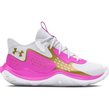 Under Armour JET23 Pánská basketbalová obuv, bílá, velikost 45