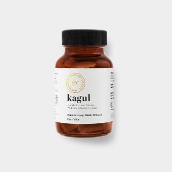 Podpora trávení, metabolismu a detox – Kagul – Organic India