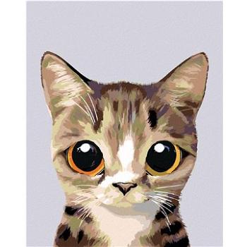 Malování podle čísel - Okatá mourovatá kočička (HRAmal00822nad)