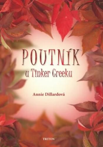 Poutník u Tinker Creeku - Dillardová Annie, Martin Jankovec