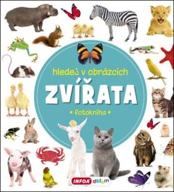 Hledej v obrázcích - Zvířata