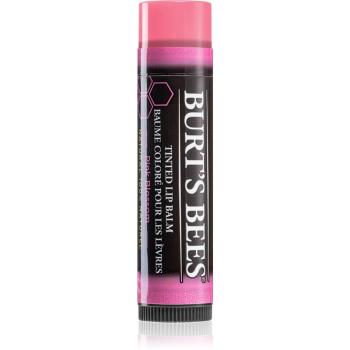 Burt’s Bees Tinted Lip Balm balzám na rty odstín Pink Blossom 4.25 g