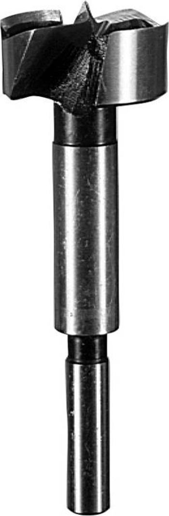 Foersterův vrták Bosch Accessories 2609255293, 50 mm Celková délka 90 mm válcová stopka 1 ks