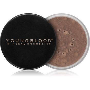 Youngblood Natural Loose Mineral Foundation minerální pudrový make-up Hazelnut (Warm) 10 g