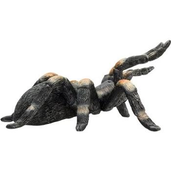 Mojo - Tarantule sklípkan Smithův (5031923872134)