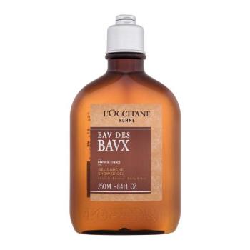 L'Occitane Eau Des Baux 250 ml sprchový gel pro muže