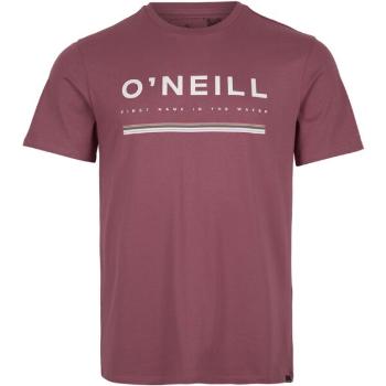 O'Neill ARROWHEAD T-SHIRT Pánské tričko, vínová, velikost L