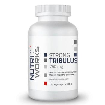 Tribulus Terrestris 750mg 120 kapslí