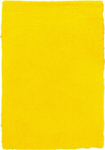 Mujkoberec.cz Kusový koberec Spring Yellow - 160x230 cm Žlutá