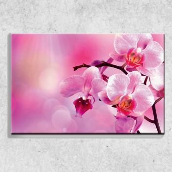 Foto na plátně Orchidej 90x60 cm