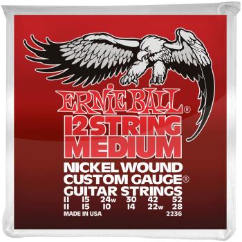 Ernie Ball Nickel Wound 12-String Medium