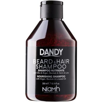 DANDY Beard & Hair Shampoo šampon na vlasy a vousy 300 ml