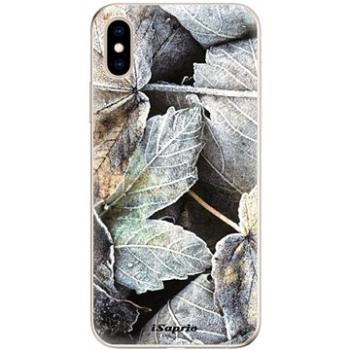 iSaprio Old Leaves 01 pro iPhone XS (oldle01-TPU2_iXS)