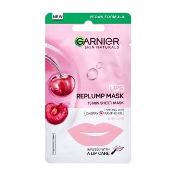 Garnier Skin Naturals Lips Replump Mask 5 g pleťová maska pro ženy na všechny typy pleti; na dehydratovanou pleť