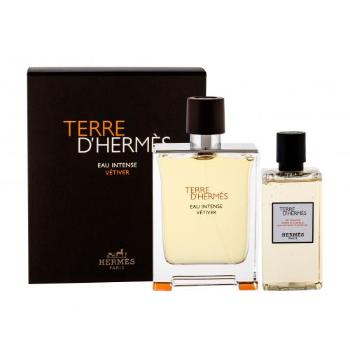 Hermes Terre d´Hermès Eau Intense Vétiver dárková kazeta parfémovaná voda 100 ml + sprchový gel 80 ml pro muže