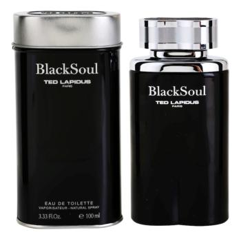 Ted Lapidus Black Soul toaletní voda pro muže 100 ml