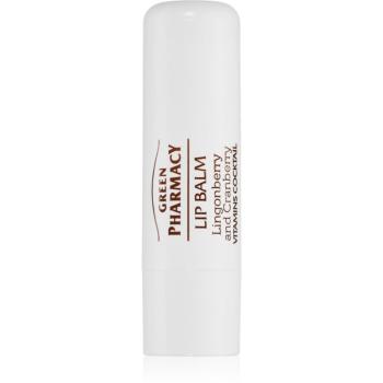 Green Pharmacy Lip Care Lingonberry and Cranberry vyživující balzám na rty SPF 10 3.6 ml