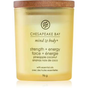 Chesapeake Bay Candle Mind & Body Strength & Energy vonná svíčka 96 g