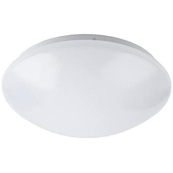 Rabalux - LED Stropní svítidlo 1xLED/24W/230V (77698)