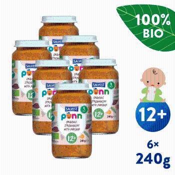 Salvest BIO Hovězí stroganov s pastinákem 6 x 240 g