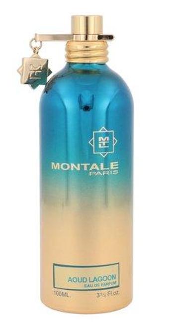 Montale Aoud Lagoon parfémovaná voda unisex 100 ml