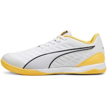 Puma IBERO IV Pánská futsalová obuv, bílá, velikost 41