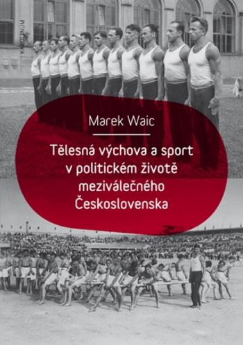 Tělesná výchova a sport v politickém životě meziválečného Československa - Marek Waic - e-kniha