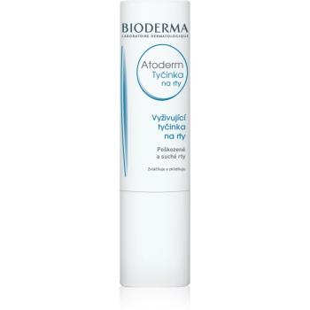 Bioderma Atoderm Tyčinka na Rty balzám na rty 4 g