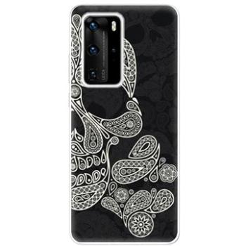 iSaprio Mayan Skull pro Huawei P40 Pro (maysku-TPU3_P40pro)