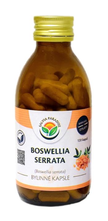 Salvia Paradise Boswellia serrata - kadidlovník 120 kapslí