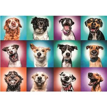 Trefl Puzzle Legrační portréty psů II, 2000 dílků (5900511271195)
